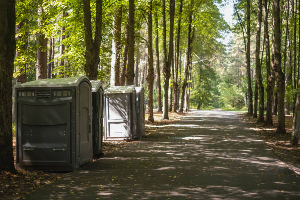Best Luxury portable toilet rental  in Village Of Waukesha, WI